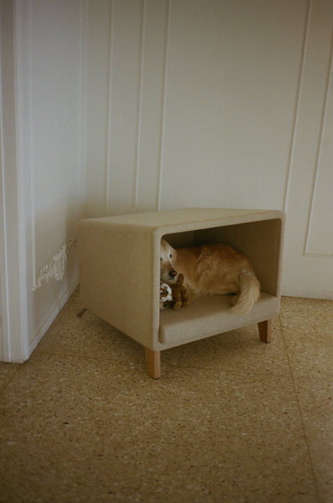 CCC 01 Cat & Dog Sofa Large