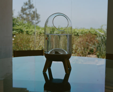 CP 01 Fish Bowl