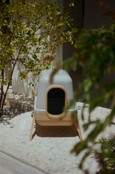 CC 01 Cat Litter Box