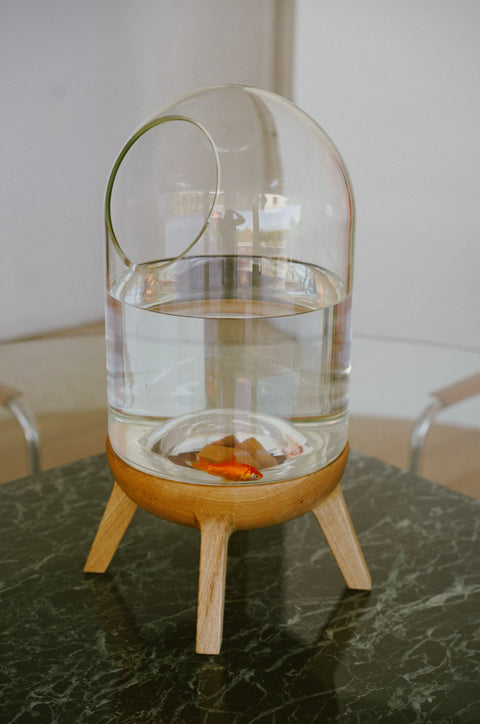 CP 01 Fish Bowl
