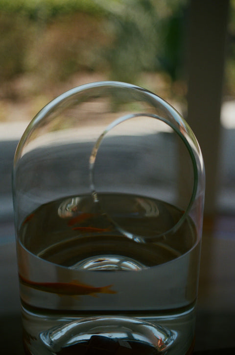 CP 01 Fish Bowl