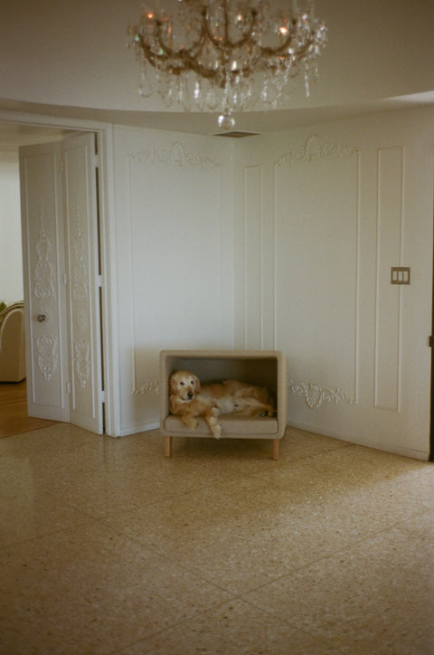 CCC 01 Cat & Dog Sofa Large